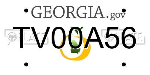 TV00A56 Georgia License Plate