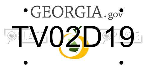 TV02D19 Georgia License Plate