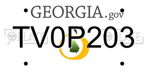 TV0P203 Georgia License Plate