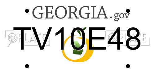 TV10E48 Georgia License Plate