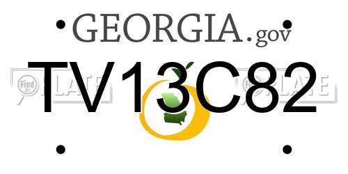 TV13C82 Georgia License Plate