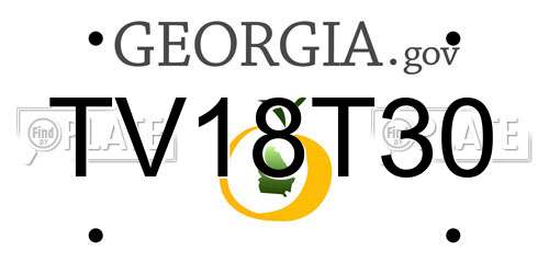 TV18T30 Georgia License Plate
