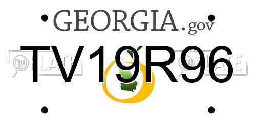 TV19R96 Georgia License Plate