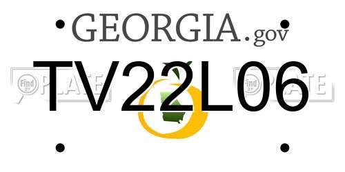 TV22L06 Georgia License Plate