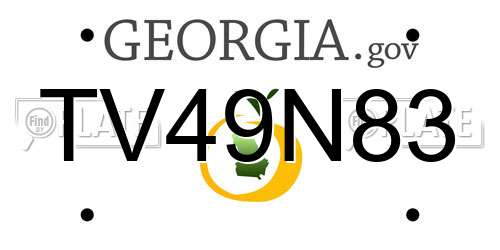 TV49N83 Georgia License Plate