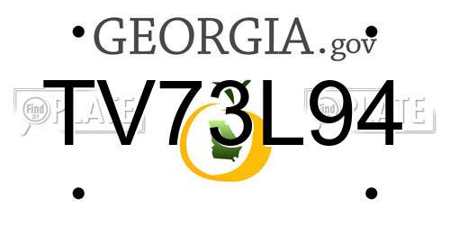 TV73L94 Georgia License Plate