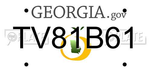 TV81B61 Georgia License Plate