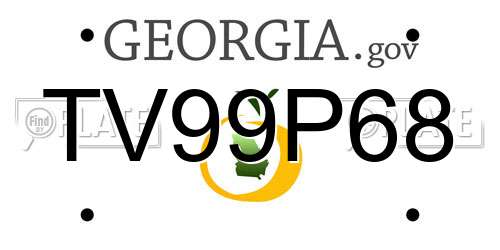 TV99P68 Georgia License Plate