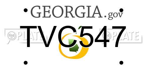 TVC547 Georgia License Plate