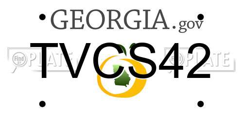 TVCS42 Georgia License Plate