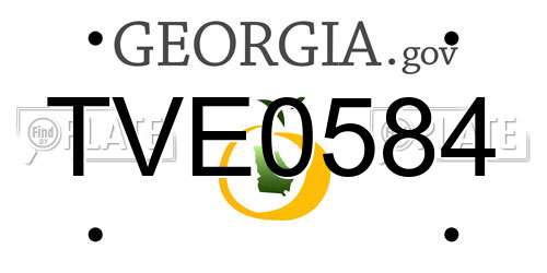 TVE0584 Georgia License Plate