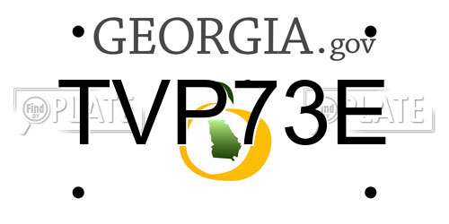 TVP73E Georgia License Plate