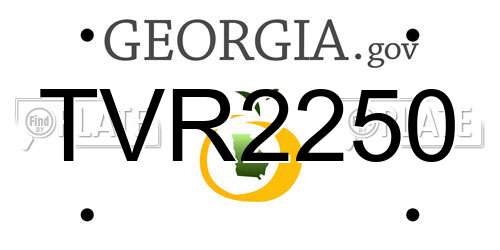 TVR2250 Georgia License Plate