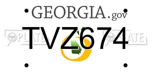 TVZ674 Georgia License Plate