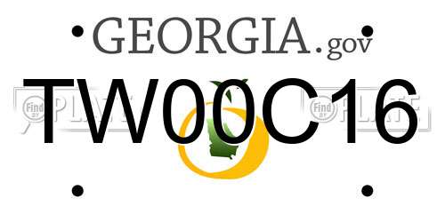 TW00C16 Georgia License Plate