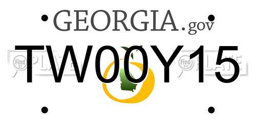 TW00Y15 Georgia License Plate