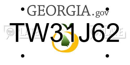 TW31J62 Georgia License Plate