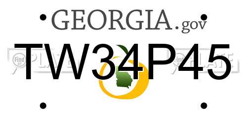TW34P45 Georgia License Plate