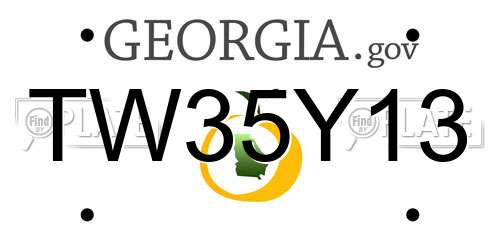 TW35Y13 Georgia License Plate