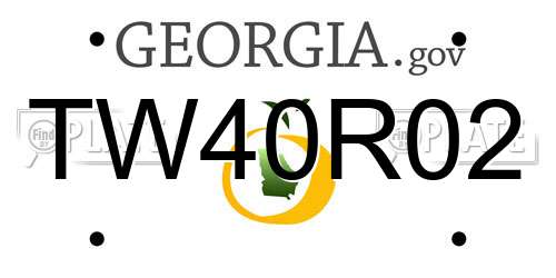 TW40R02 Georgia License Plate