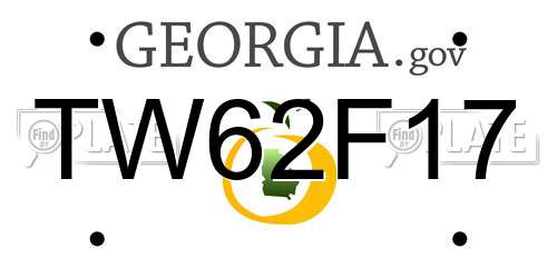 TW62F17 Georgia License Plate