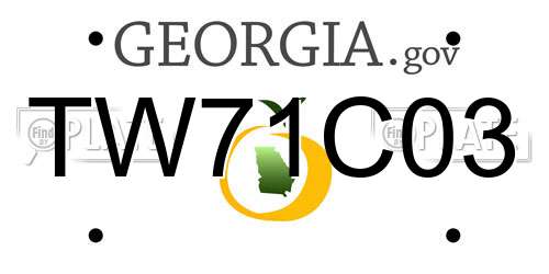 TW71C03 Georgia License Plate
