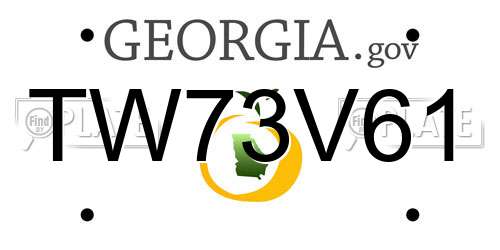 TW73V61 Georgia License Plate
