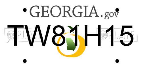 TW81H15 Georgia License Plate
