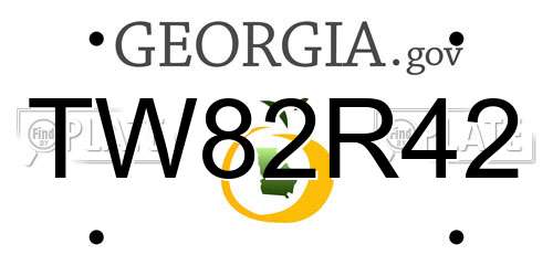 TW82R42 Georgia License Plate