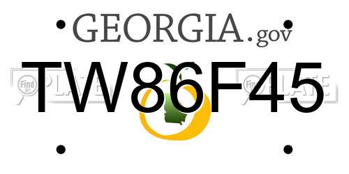 TW86F45 Georgia License Plate