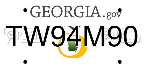 TW94M90 Georgia License Plate