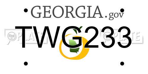 TWG233 Georgia License Plate