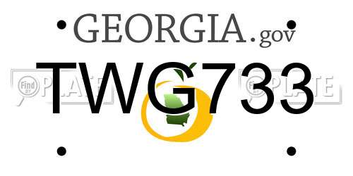TWG733 Georgia License Plate