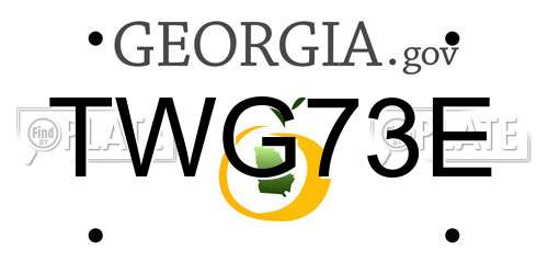 TWG73E Georgia License Plate