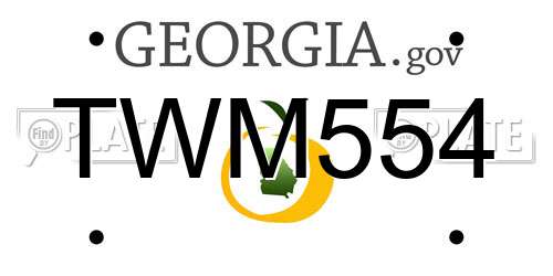 TWM554 Georgia License Plate