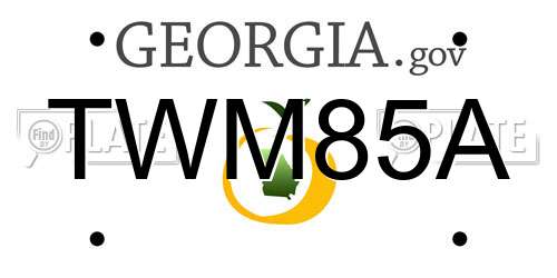 TWM85A Georgia License Plate