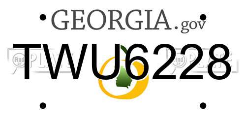 TWU6228 Georgia License Plate
