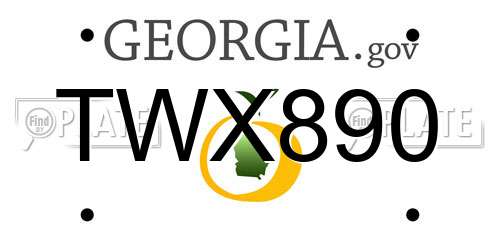 TWX890 Georgia License Plate