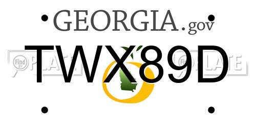 TWX89D Georgia License Plate
