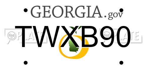 TWXB90 Georgia License Plate