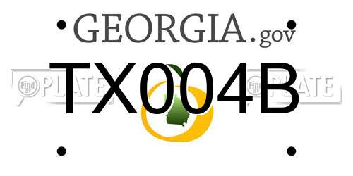 TX004B Georgia License Plate