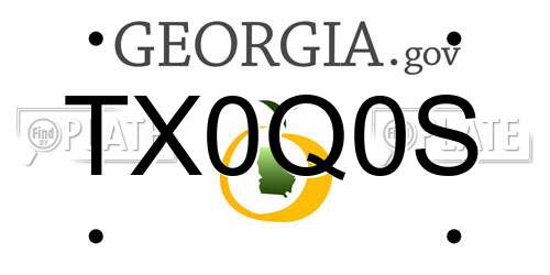 TX0Q0S Georgia License Plate