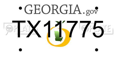 TX11775 Georgia License Plate