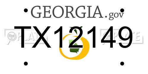 TX12149 Georgia License Plate
