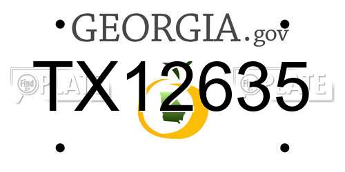 TX12635 Georgia License Plate