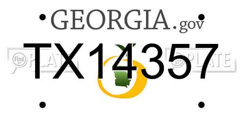 TX14357 Georgia License Plate