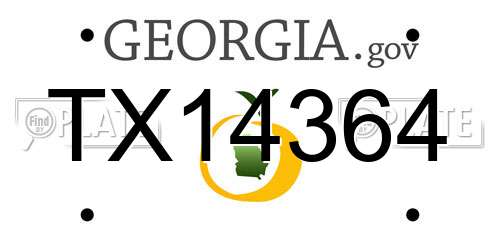 TX14364 Georgia License Plate