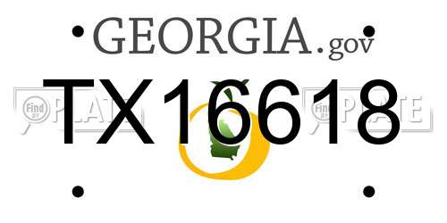 TX16618 Georgia License Plate