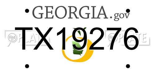 TX19276 Georgia License Plate