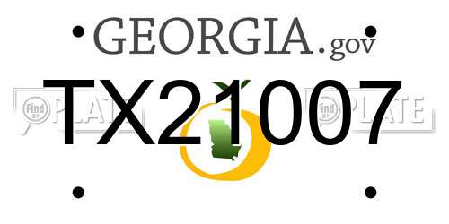 TX21007 Georgia License Plate